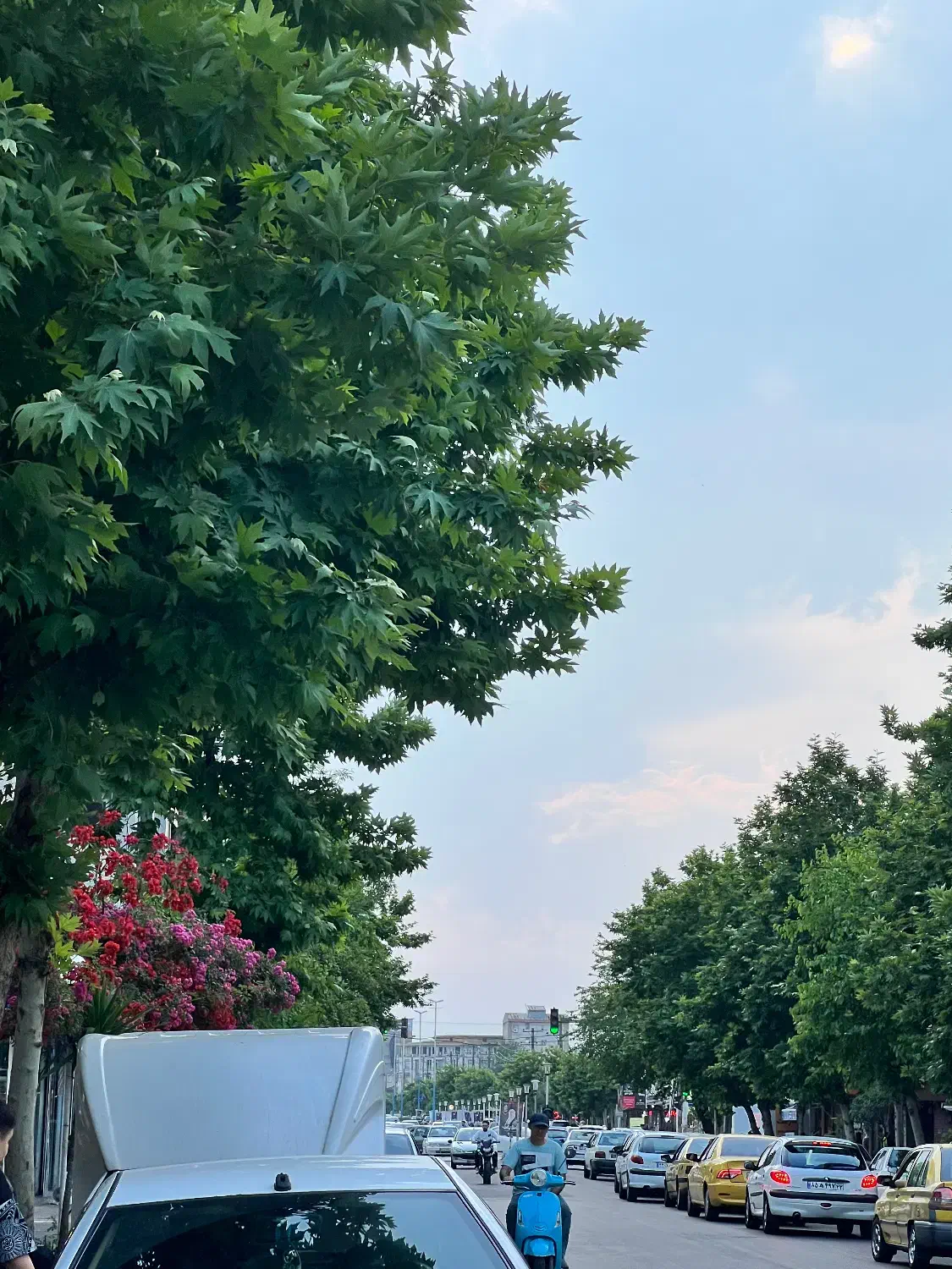 اجاره واحد تجاری خیابان مطهری