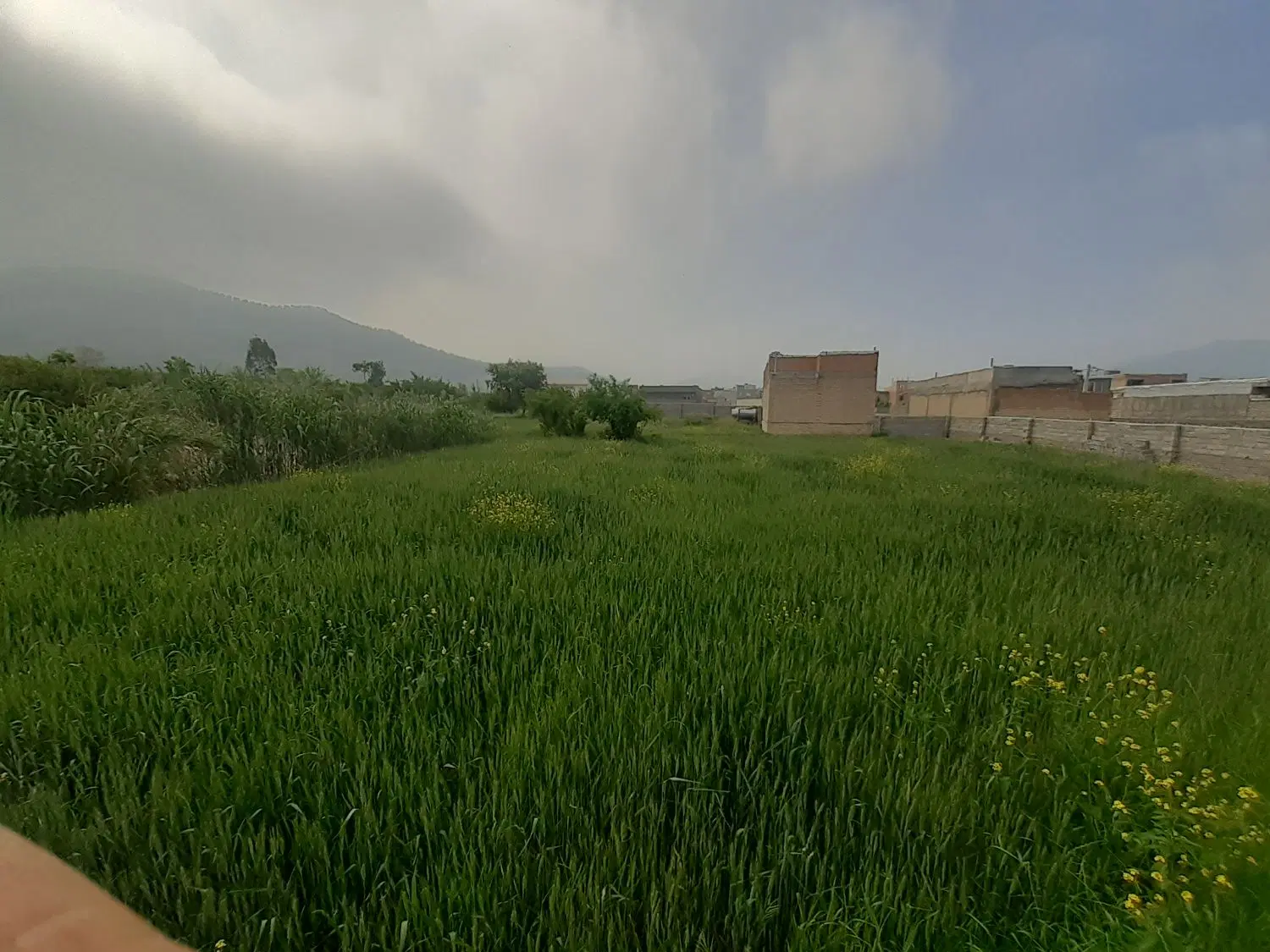 زمین مسکونی رامیان