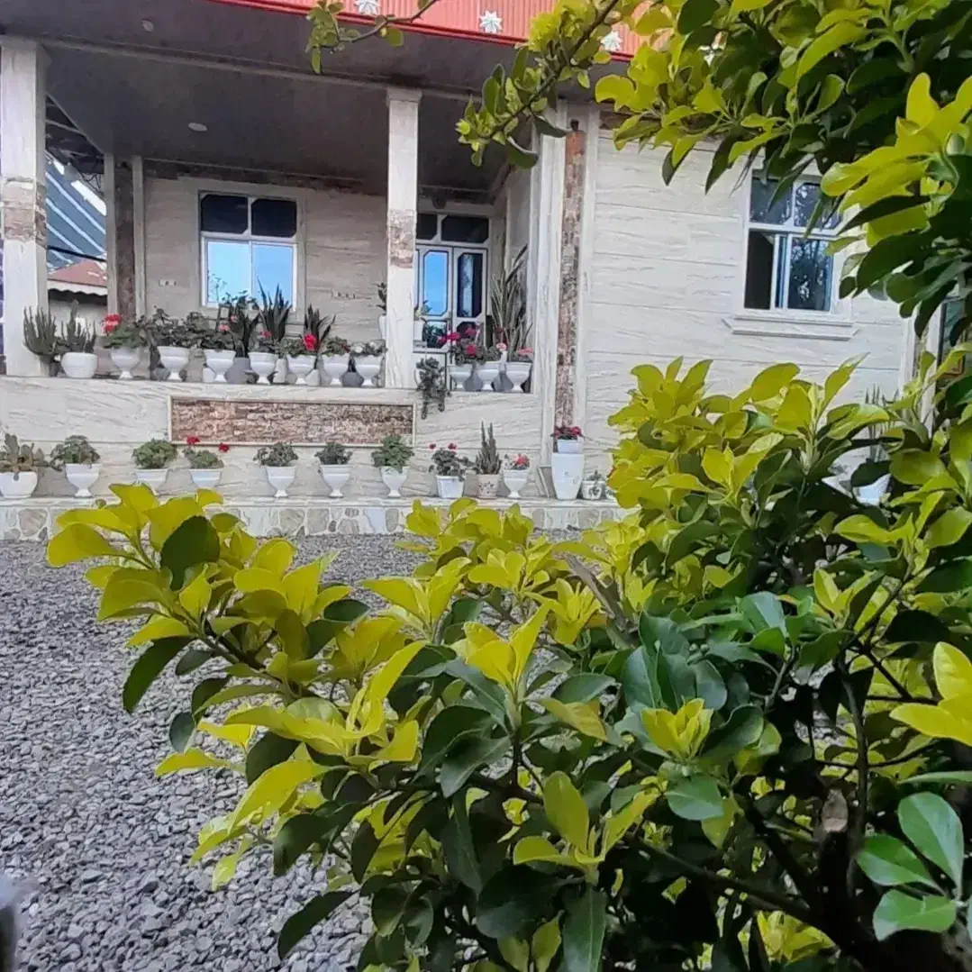ویلاجنگلی با همه امکانات