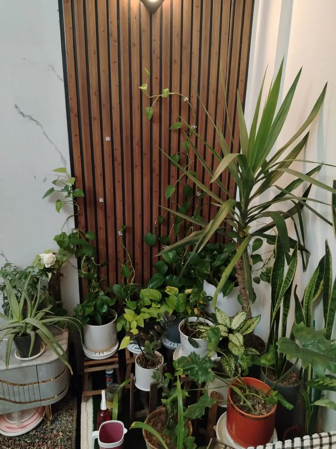 آپارتمان _شیک_مطهری
