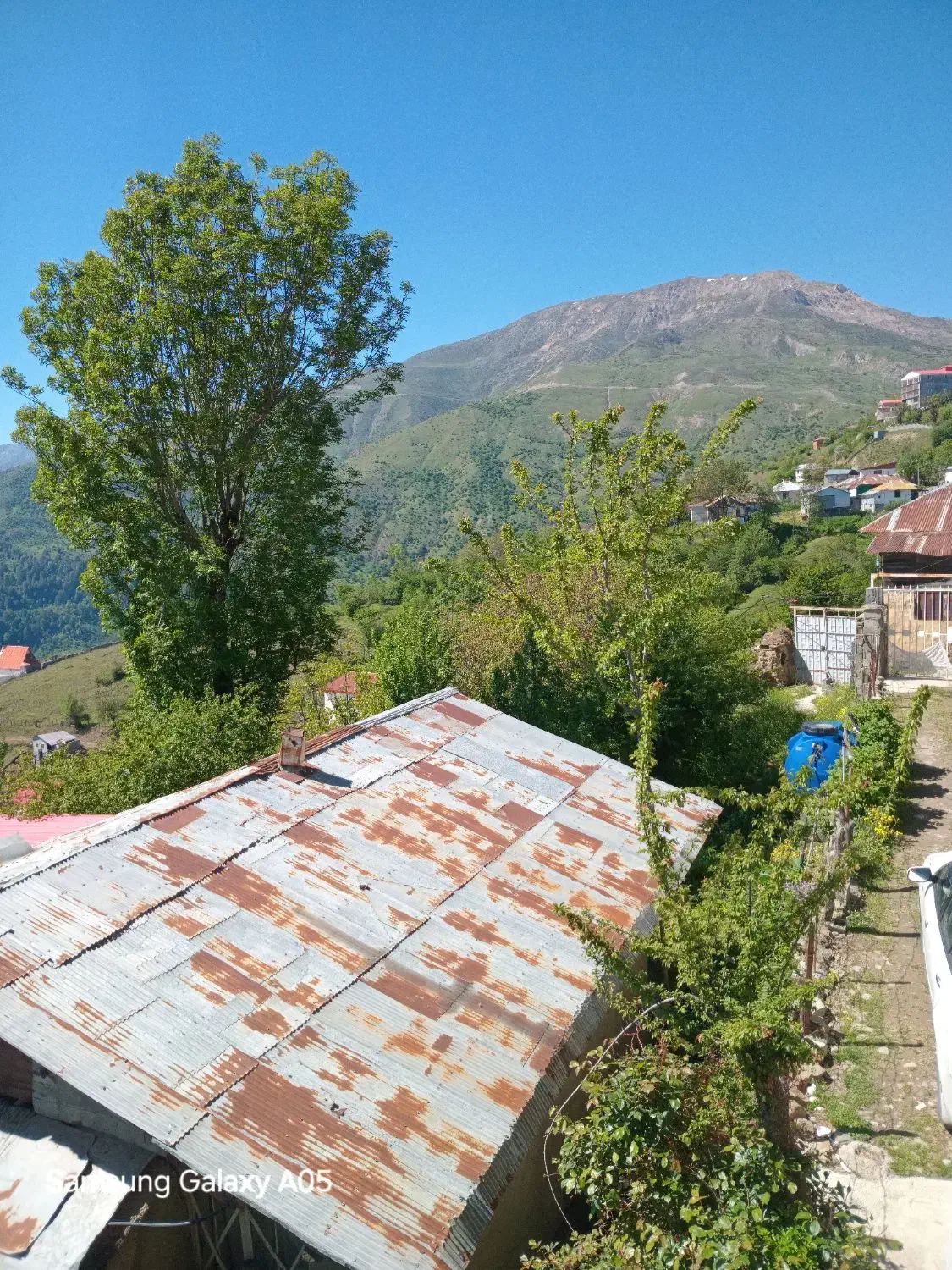 کلبه جنگلی فیلبند