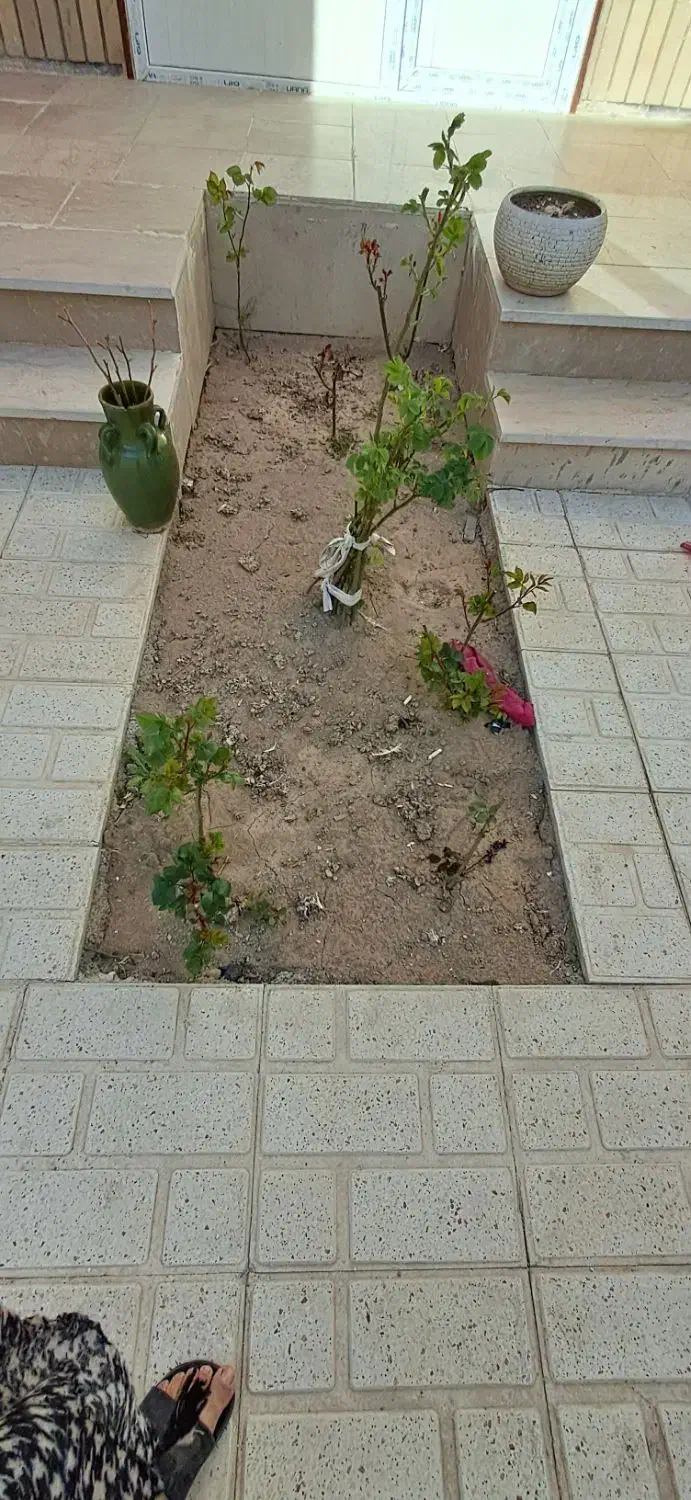 خونه همکف خرم