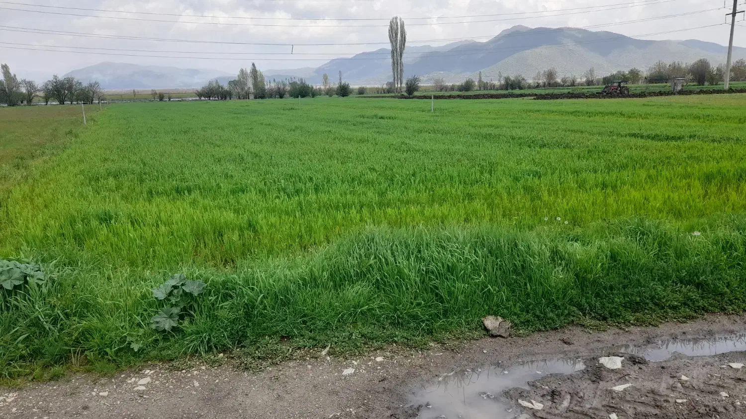 زمین کشاورزی