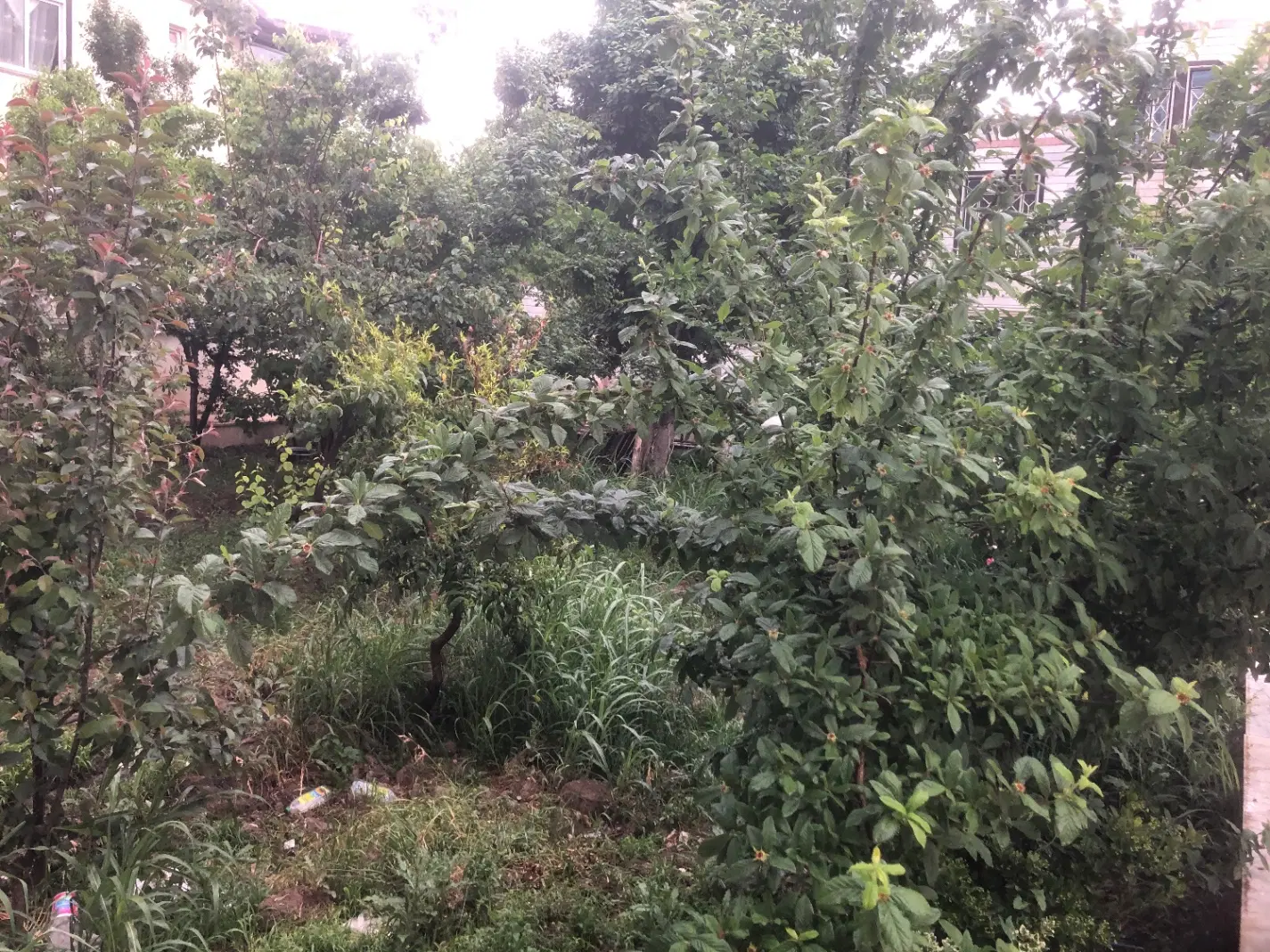 زمین ۵۵۰ متری بر خیابان