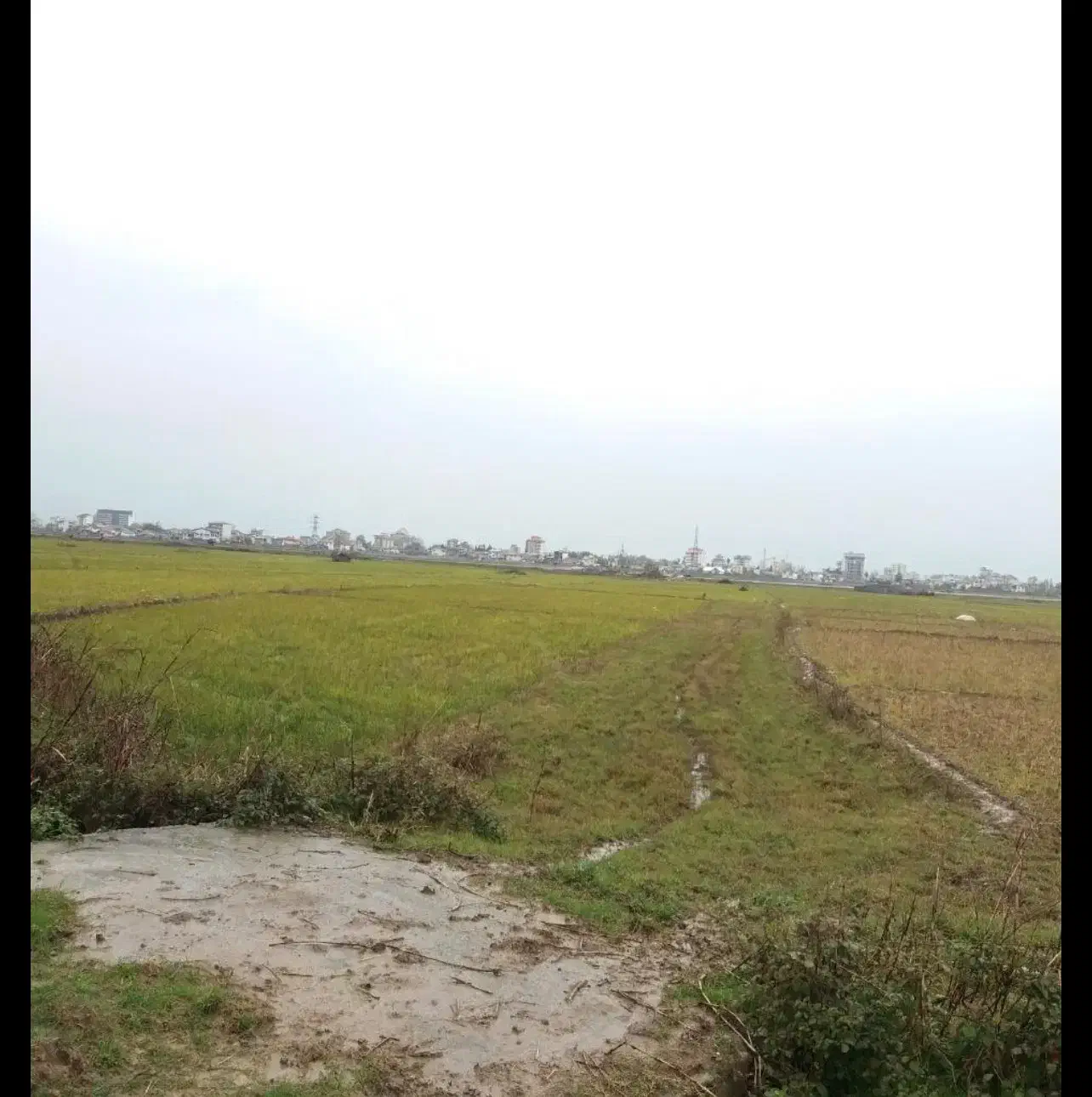 ۳۷۵ متر گلستان ۵۴