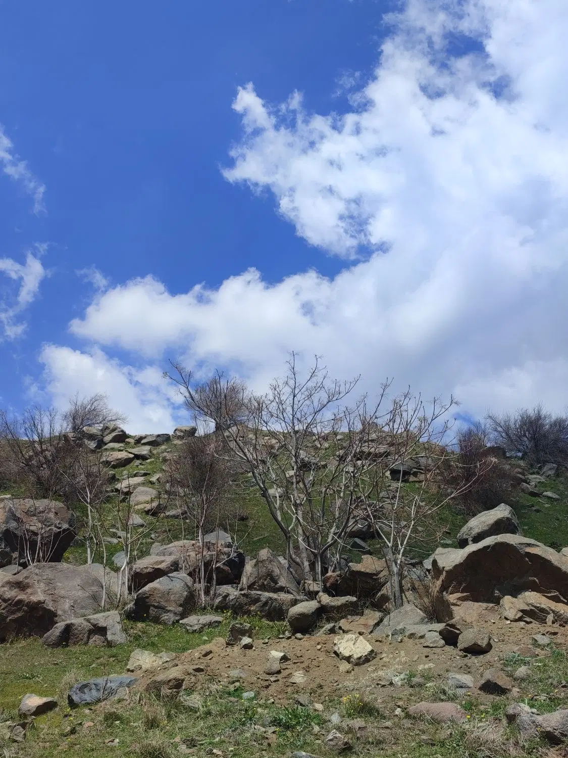 زمین مسکونی ۲۰۰ متر (امام زاده کوه)
