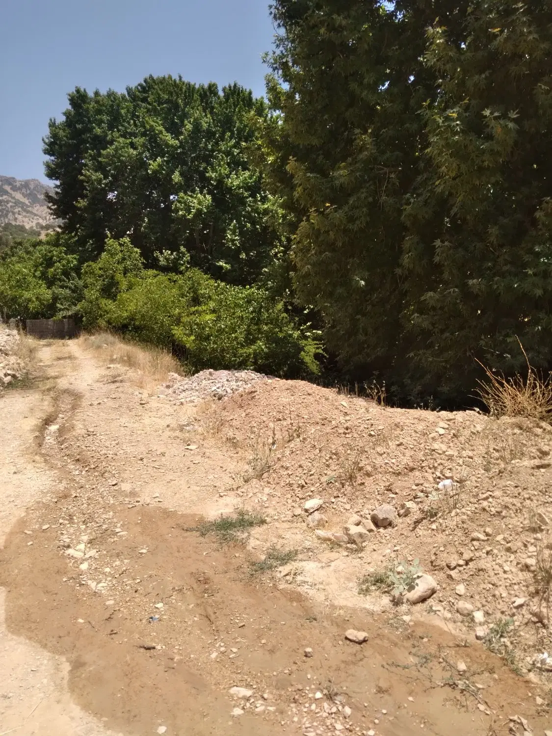 فروش ۱۰۰۰متر باغ بهترین جا برای سرمایه گذاری