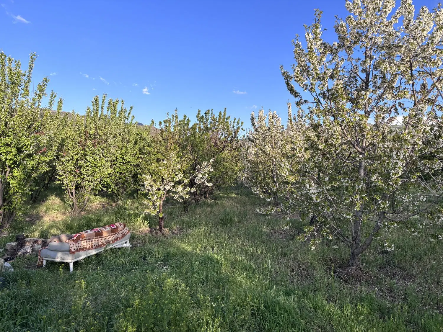 باغ زمین دوشان