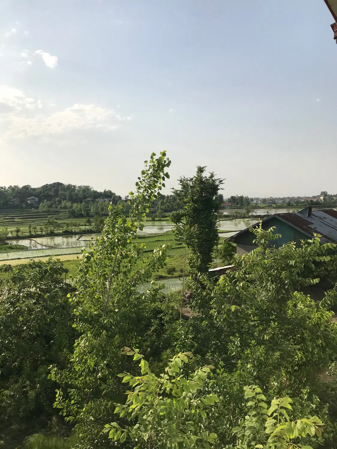 زمین با کاربری مسکونی در سیاهکل