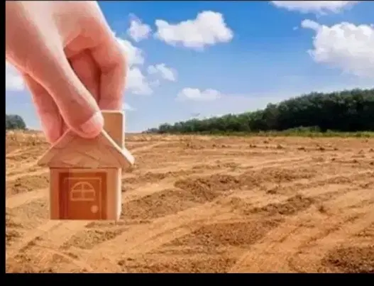 خریدار زمین مسکونی ( کارگر شمالی، زیتون )