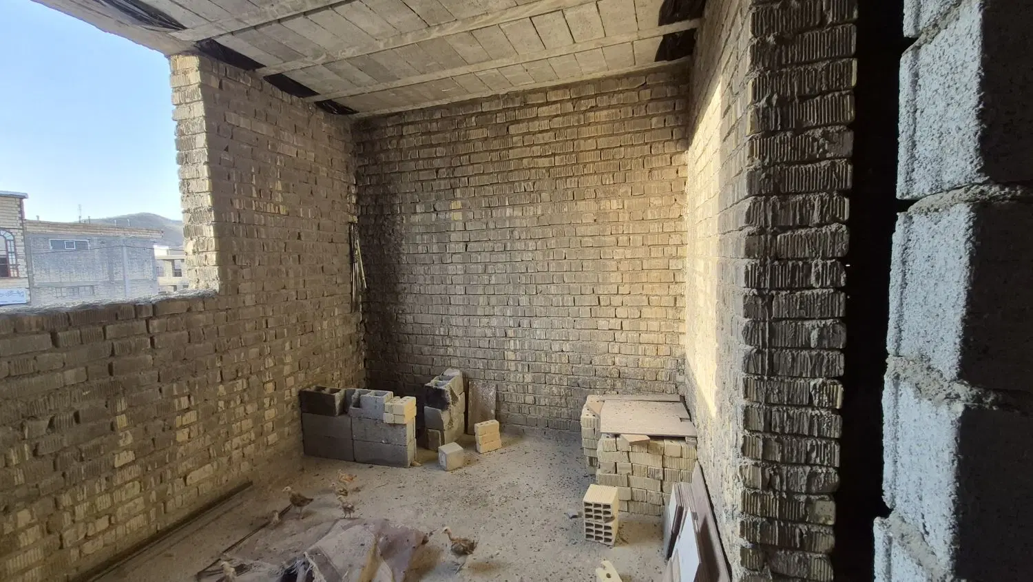 فروش اسکلت