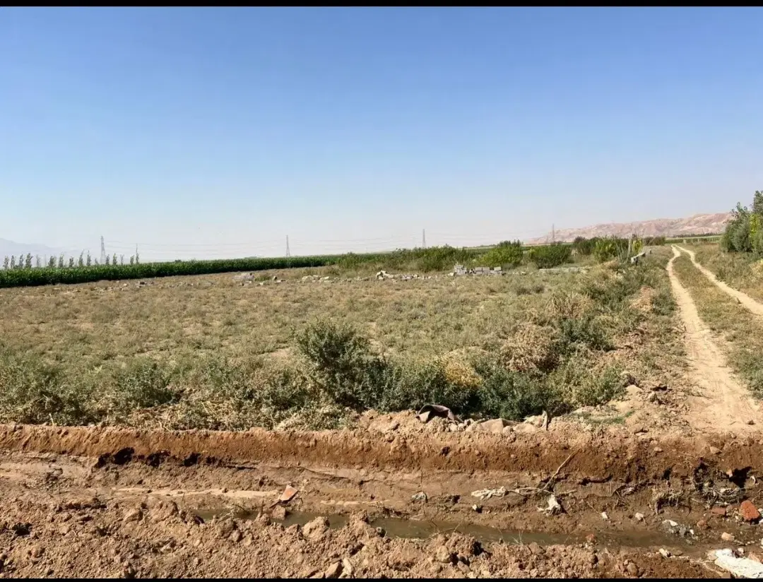 زمین مناسب باغچه  و ویلا