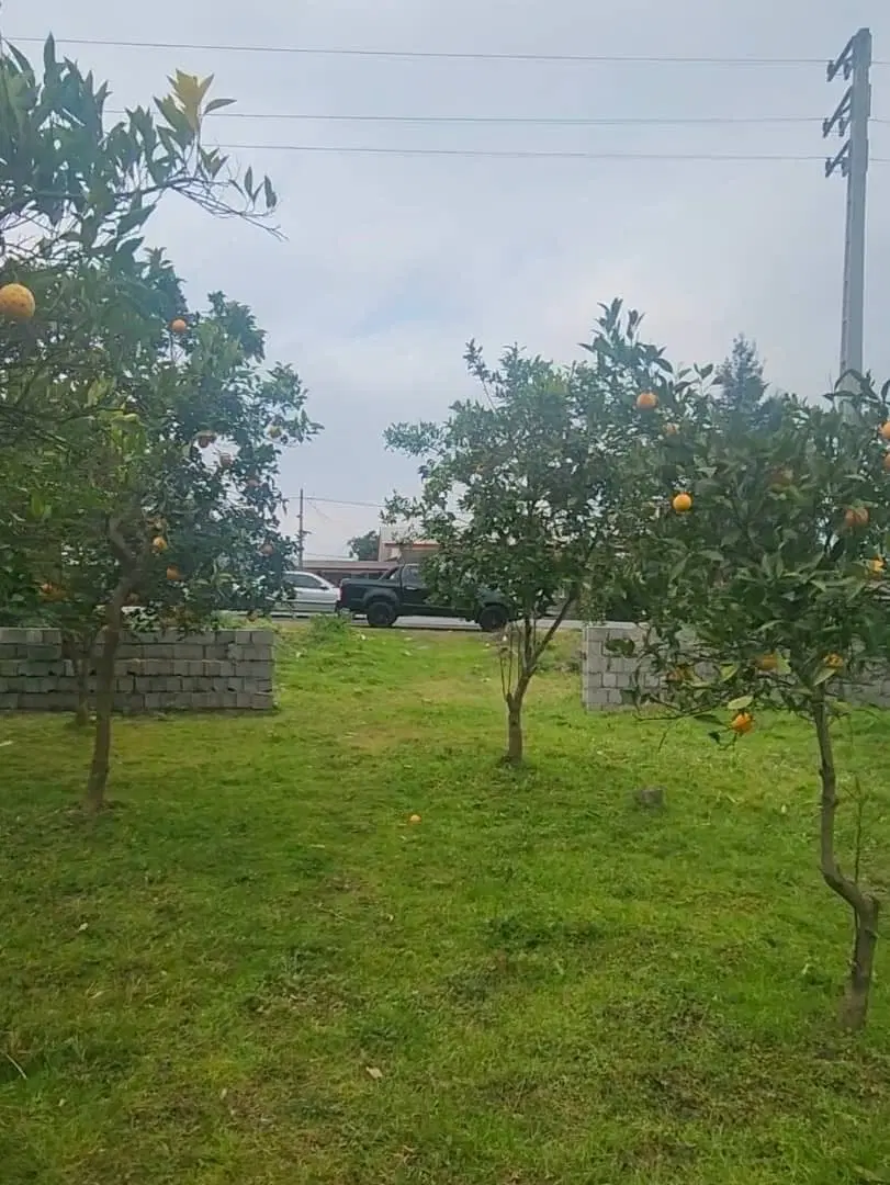 زمین تجاری مسکونی بر جاده دوهزار