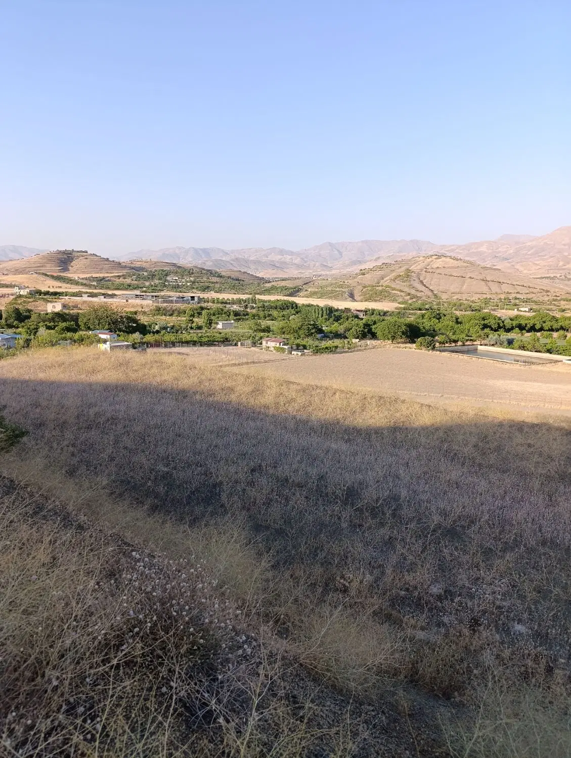 زمین کشاورزی