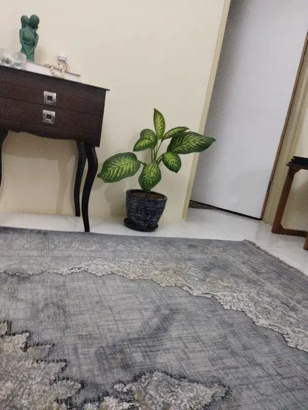 رهن کامل خانه ویلایی