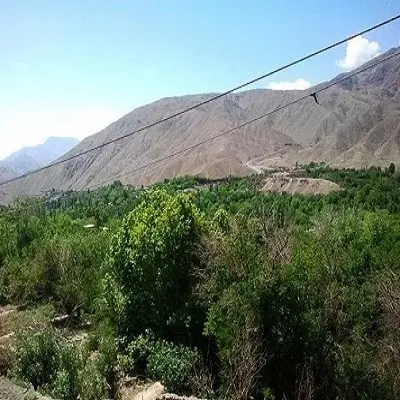 فروش باغ