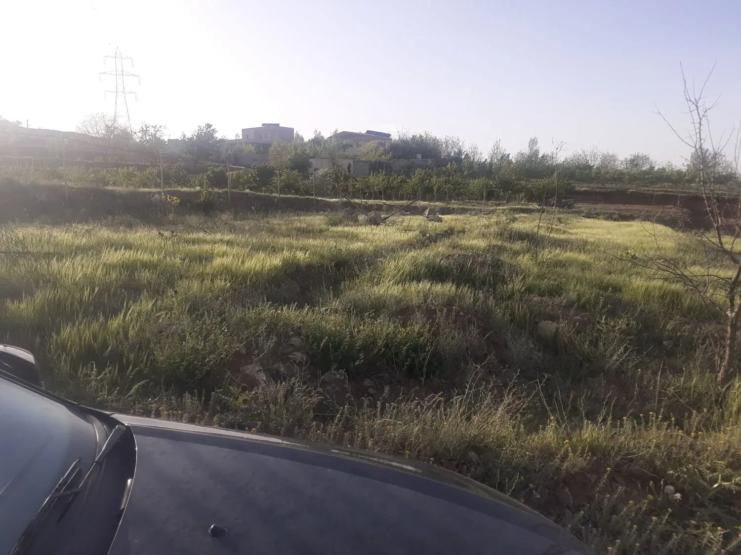 ۳۰۰ متر زمین گلدشت (عقیل اباد)