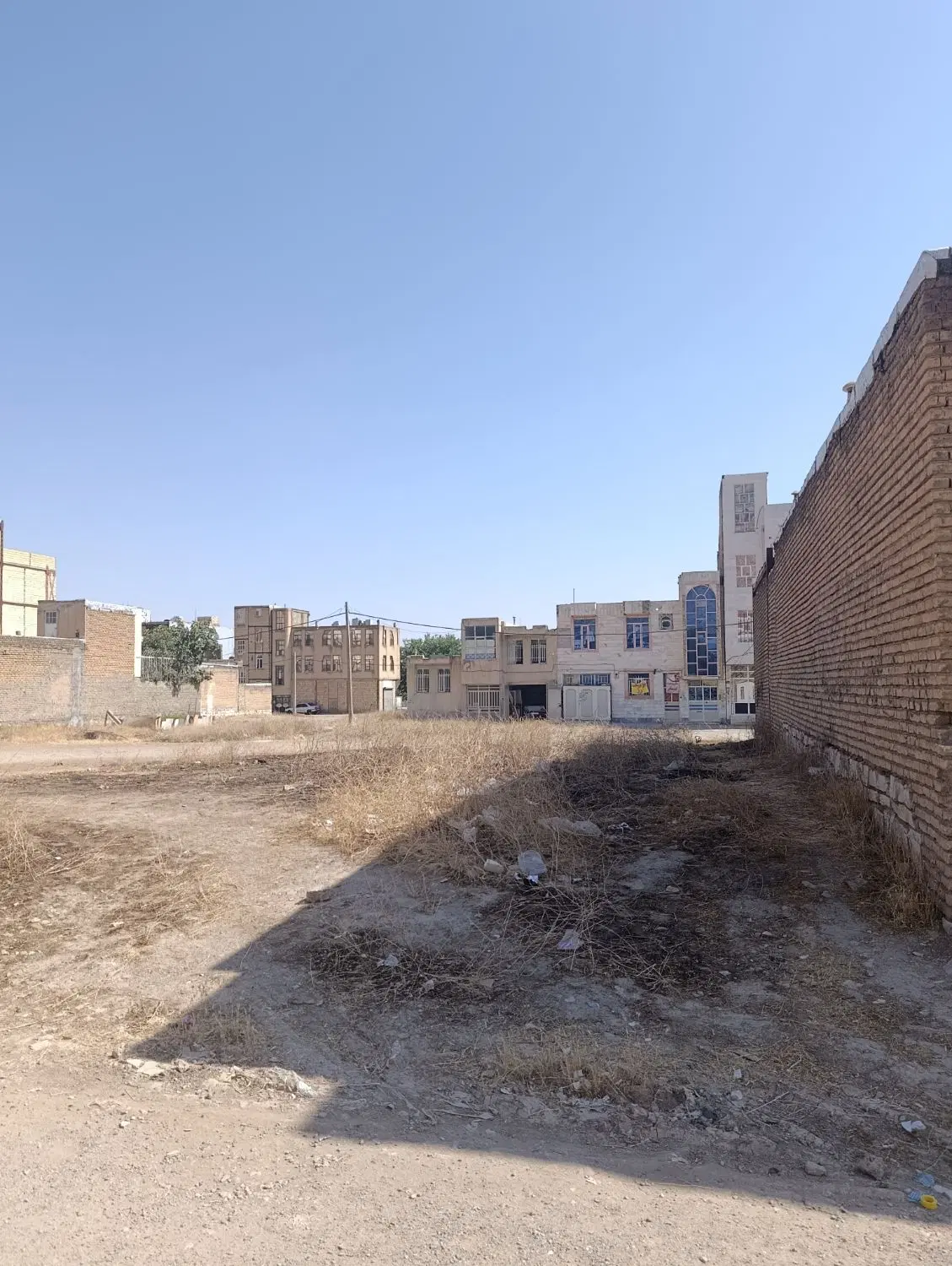 زمین سنددار تک برگ