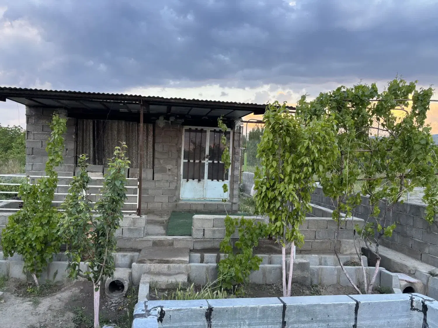 فروش باغچه در روستای جواش