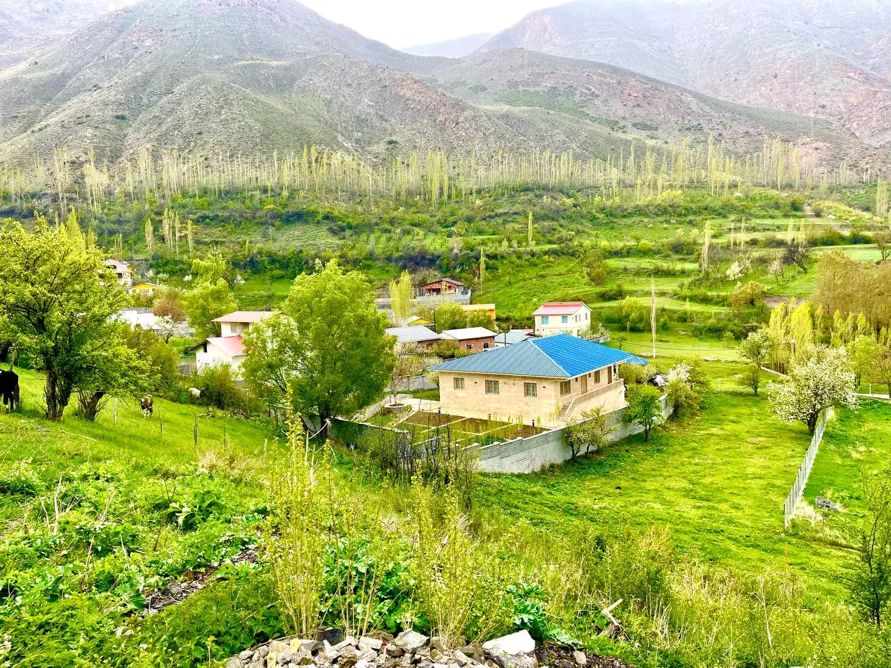 زمین ۲۳۰ متری بافت روستای چل بلده