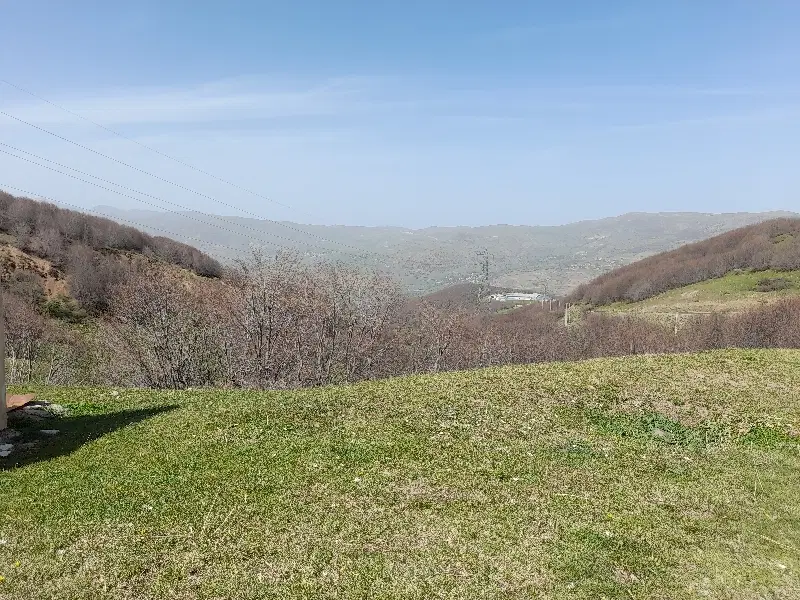 زمین کشاورزی