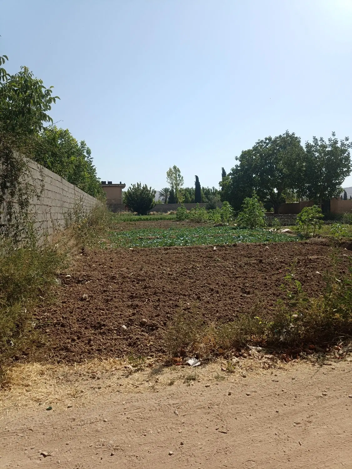 ۵۰۰متر  زمین  باغ شهری صدرا
