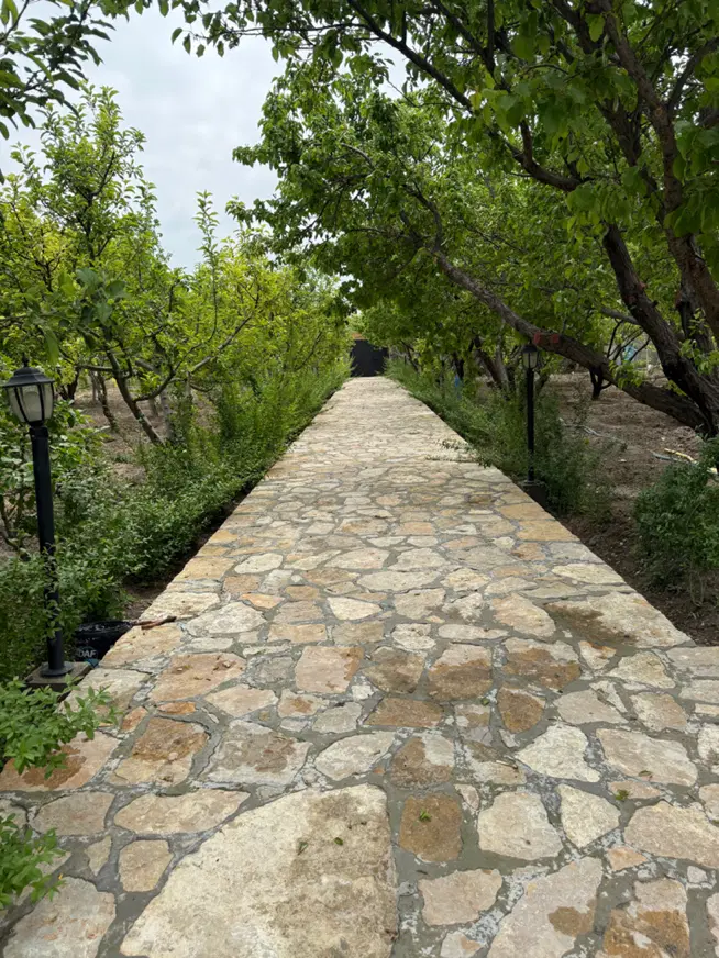 باغ بین گلبهار و چناران