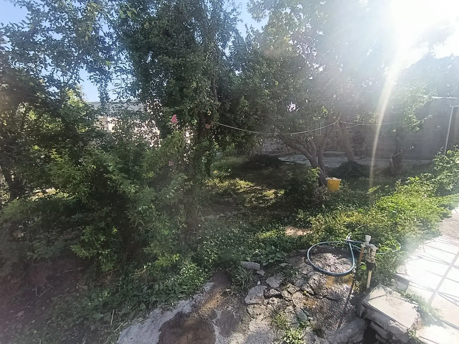 اجاره کوتاه مدت