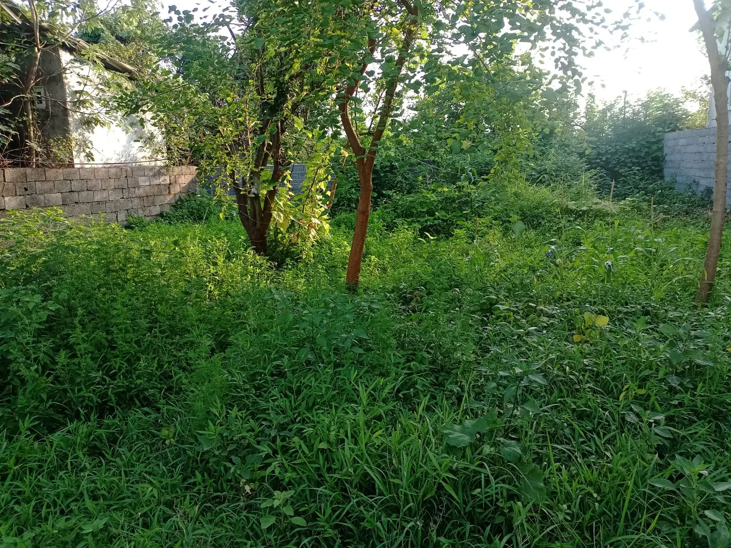 فروش زمین
