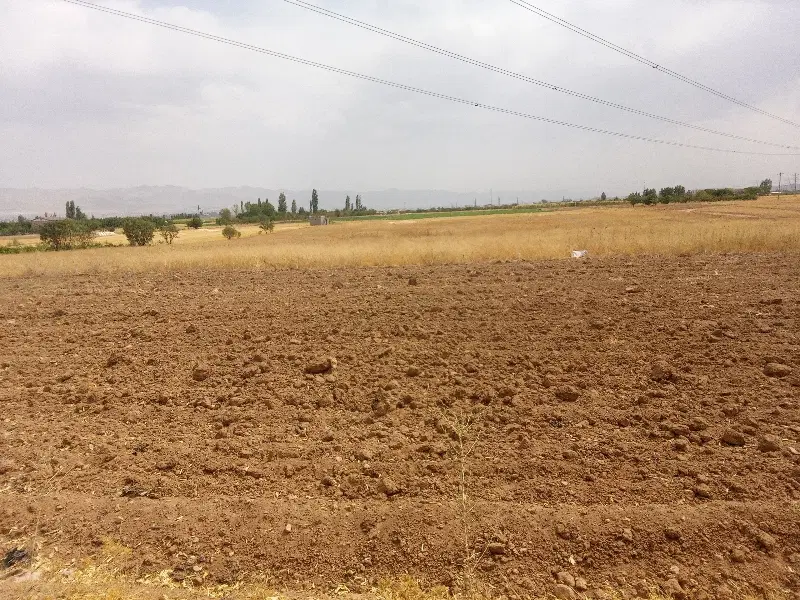 باغ