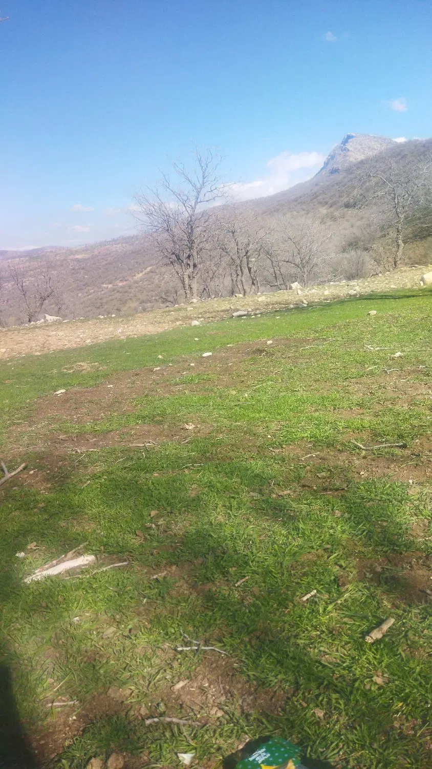 زمین تلوری گلستان ها