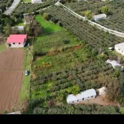 زمین باغی