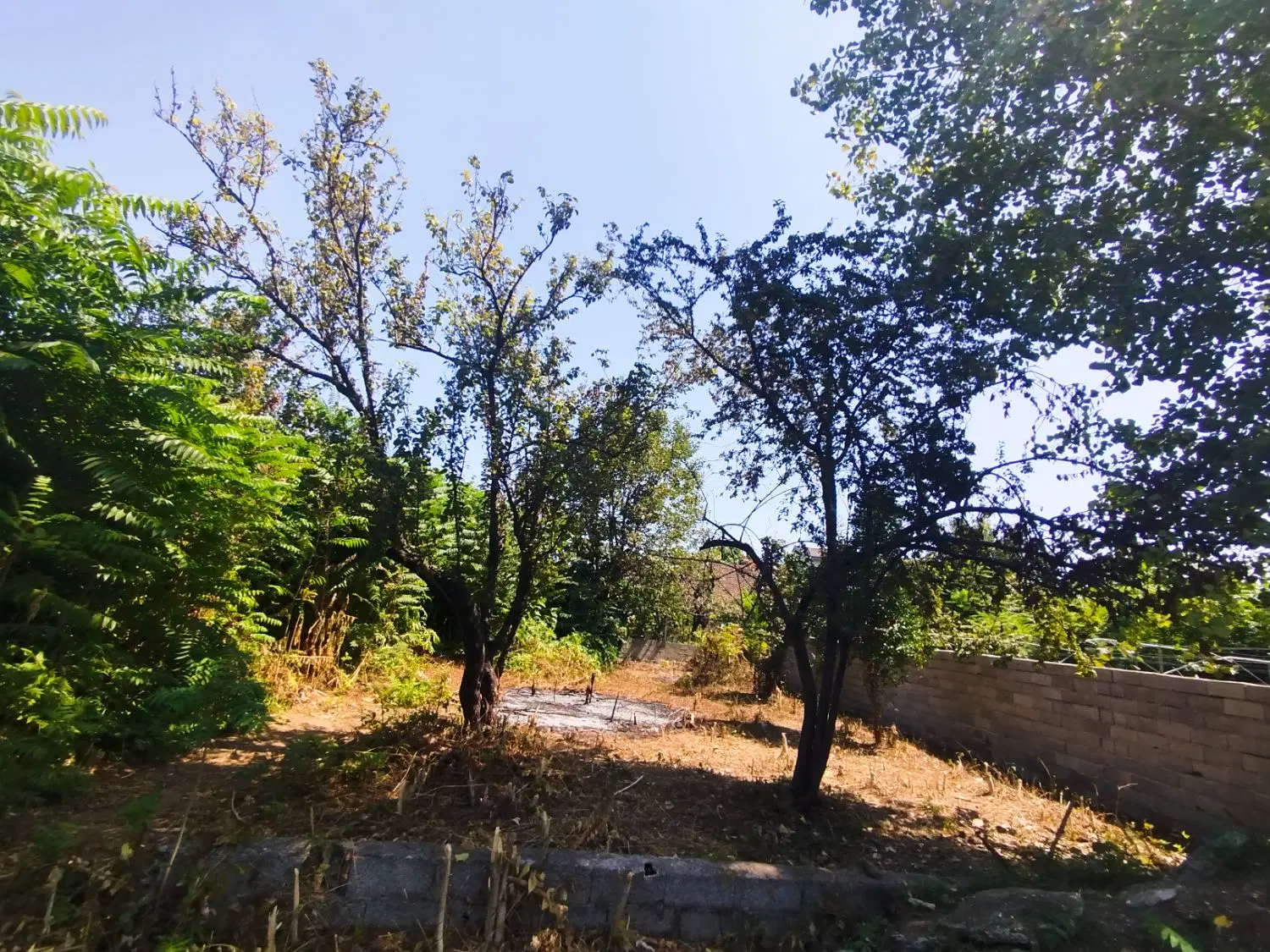 فروش زمین مسکونی