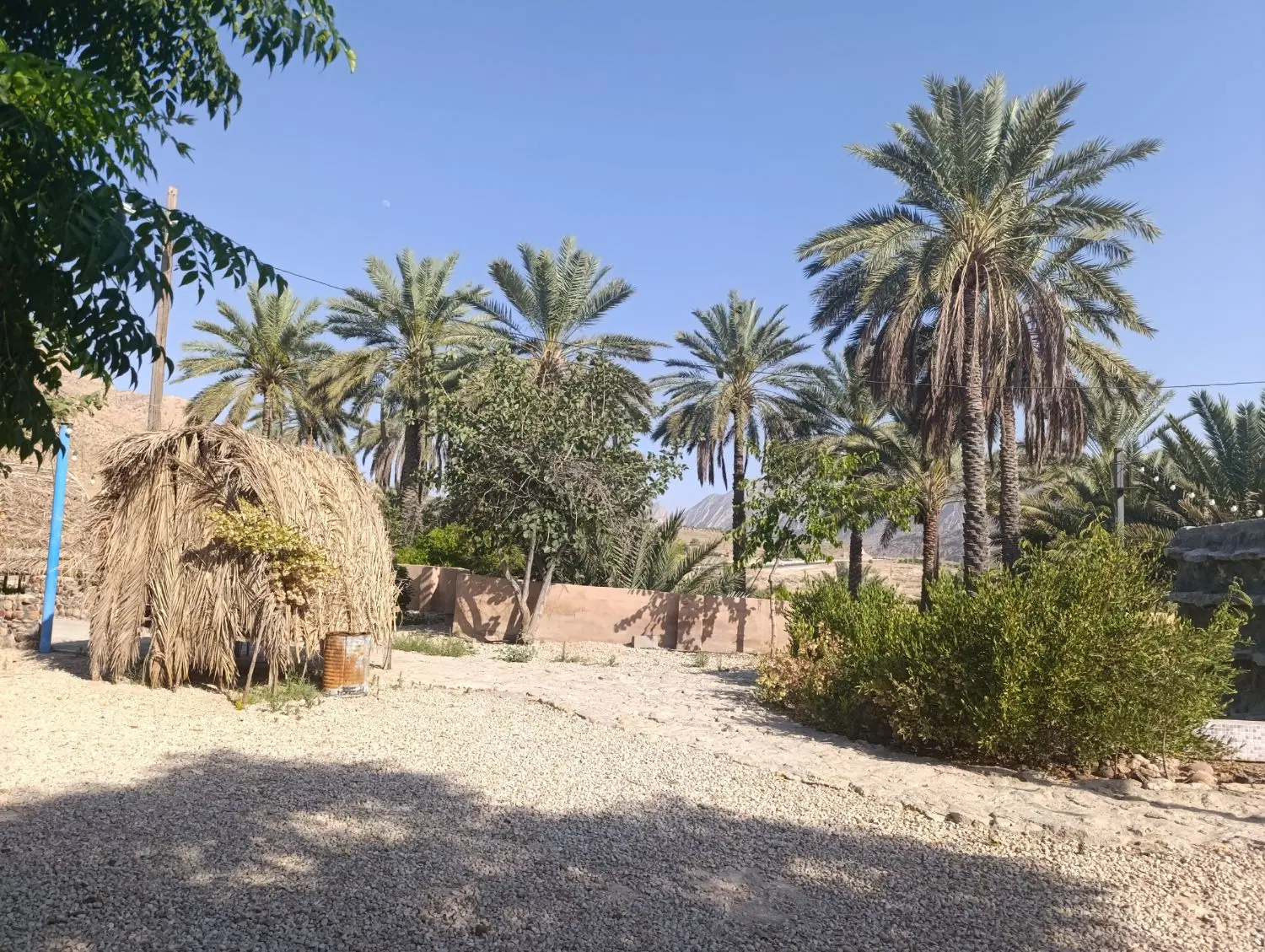 اجاره فوری باغ رستوران جاده لار