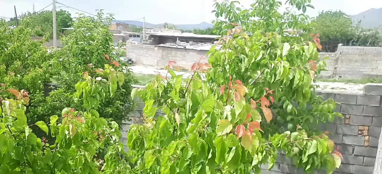 ۵۴۰ متر زمین مسکونی( باغچه ) روستای ترشاب