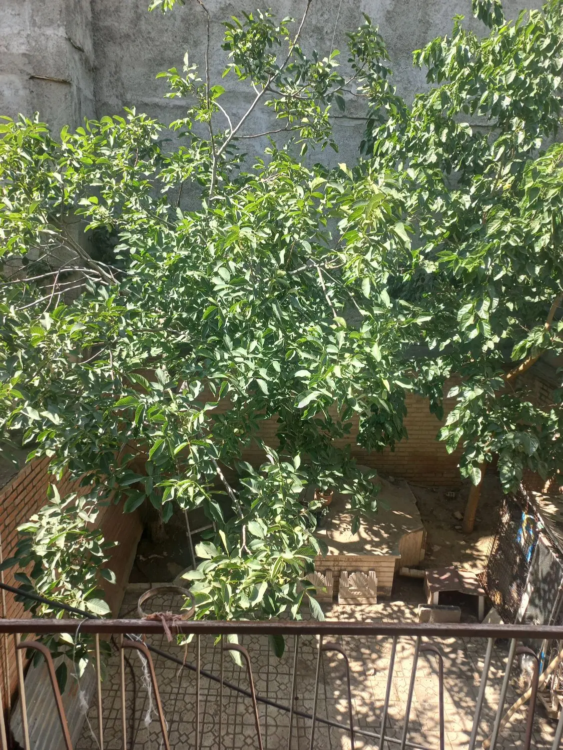 فروش ملک