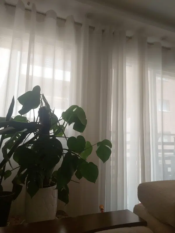 اجاره واحد اپارتمانی