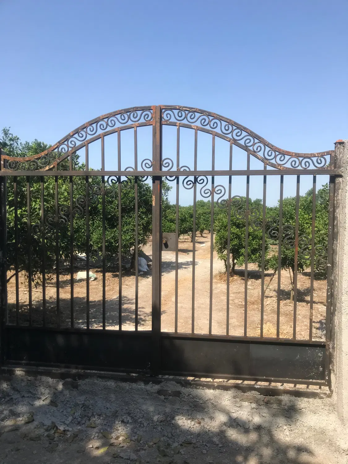 هزار متر زمین دارای پروانه ساخت قراخیل