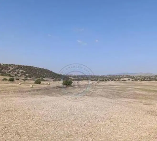 فروش زمین