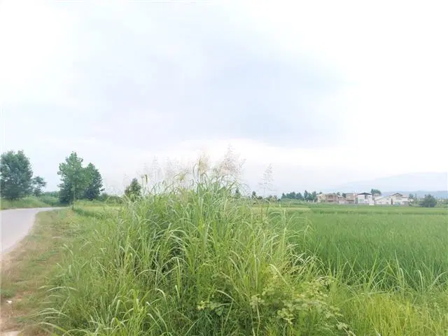 ۷۲۰ متر زمین آسایش ۲۱