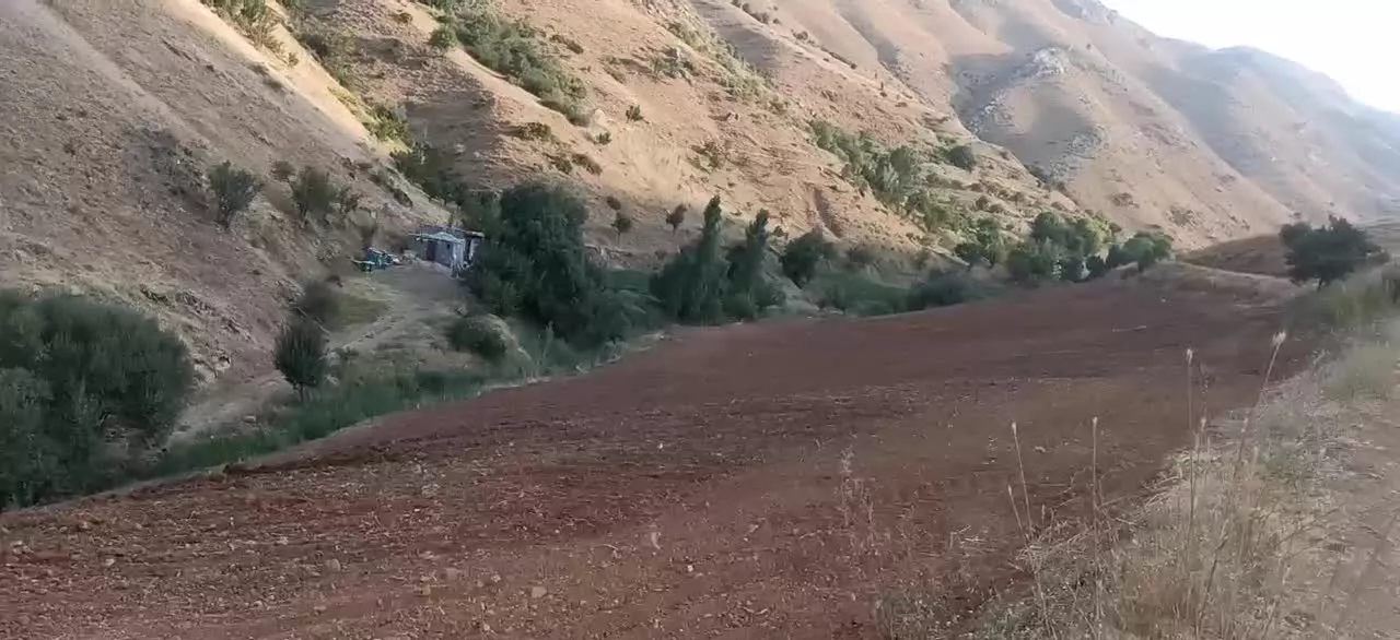 اجاره ۲ همتار زمین کشاورزی