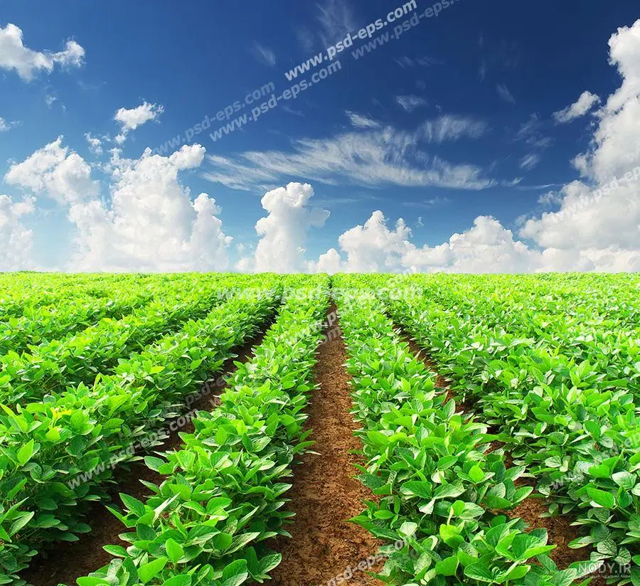 ۲۰ من زمین خوش‌موقعیت در ابتدای شیرآباد