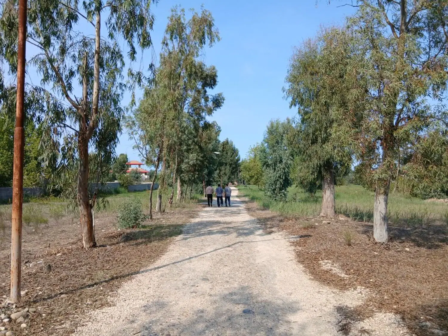 شاهکار سرمایه‌گذاری، ۳.۵ هکتار پلاک ۱
