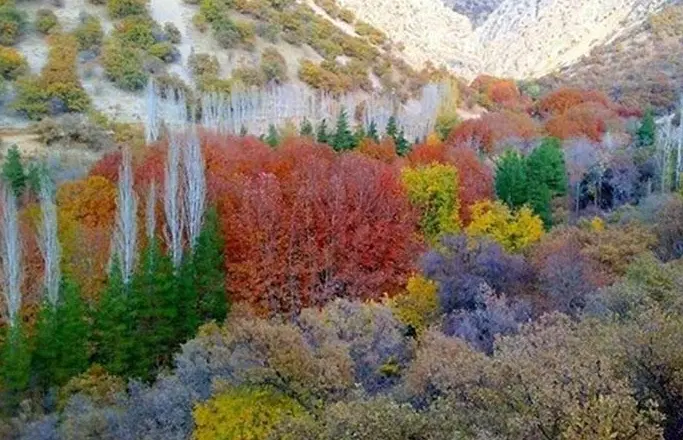 زمین گنجه ای بزرگ دونبش۸و۱۰متری شمالی