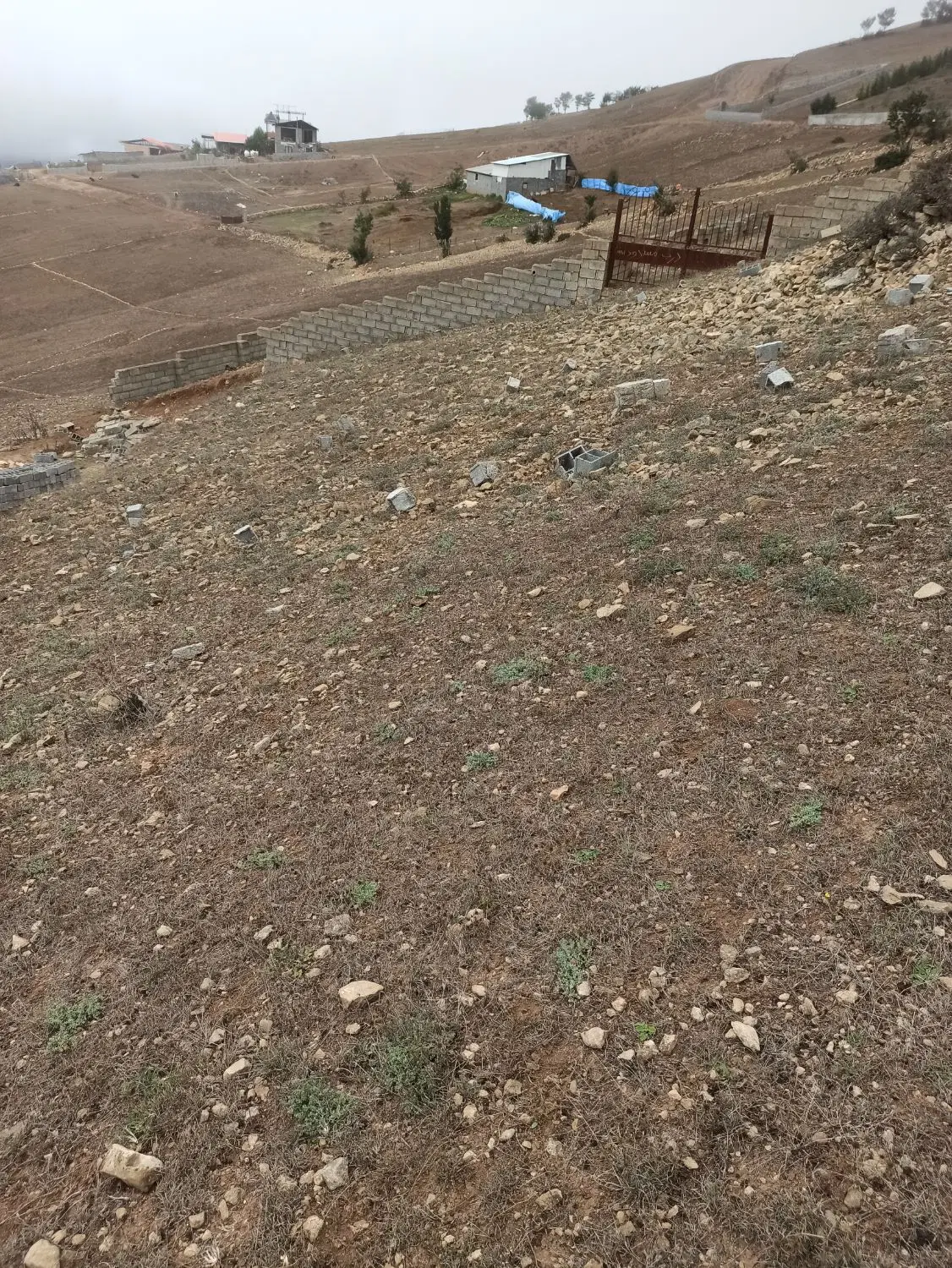 زمین ۸۰۰ متری کلاردشت _کلمه