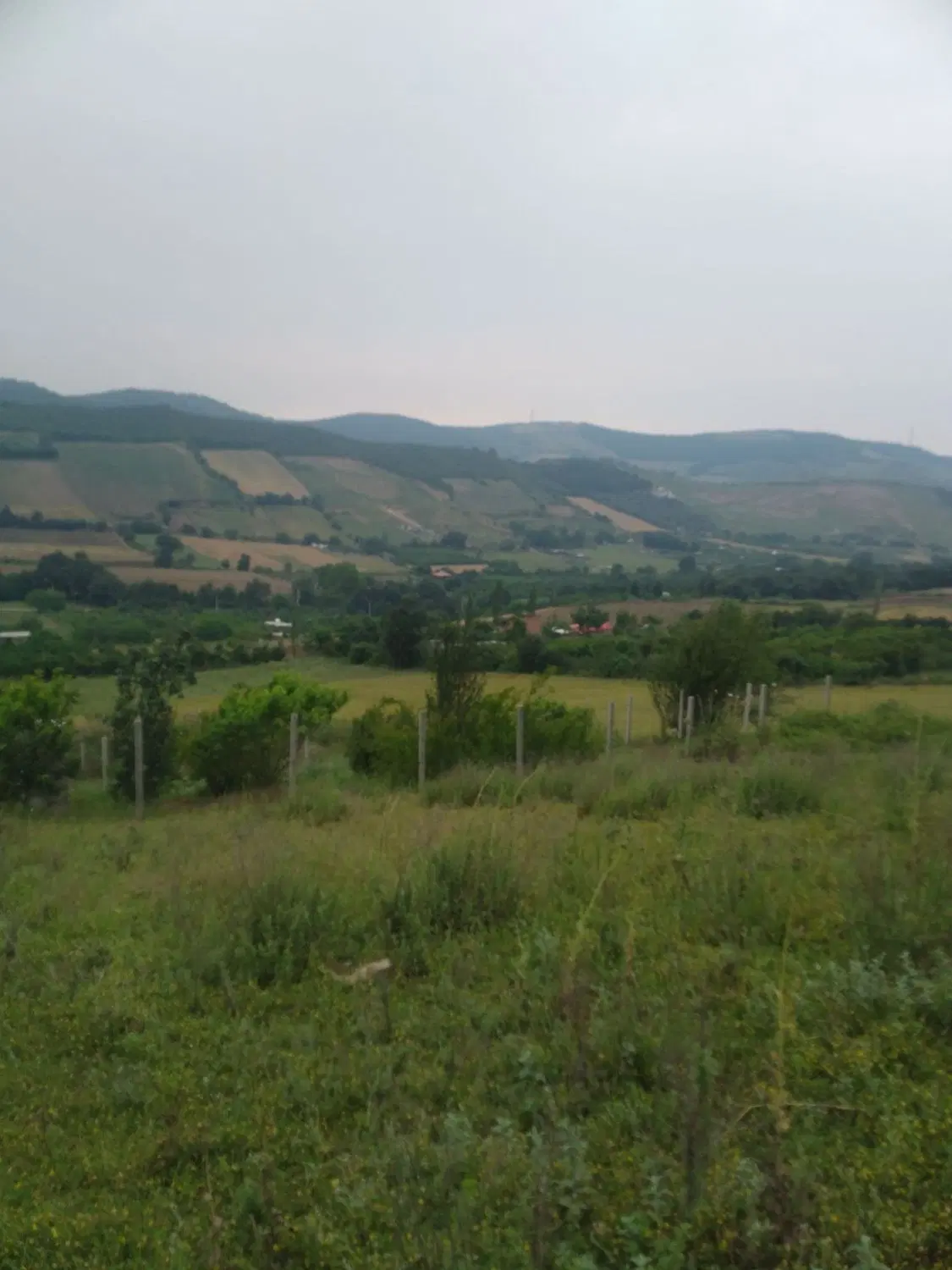 زمین کشاورزی