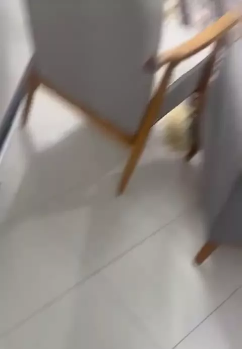 فروش آپارتمان