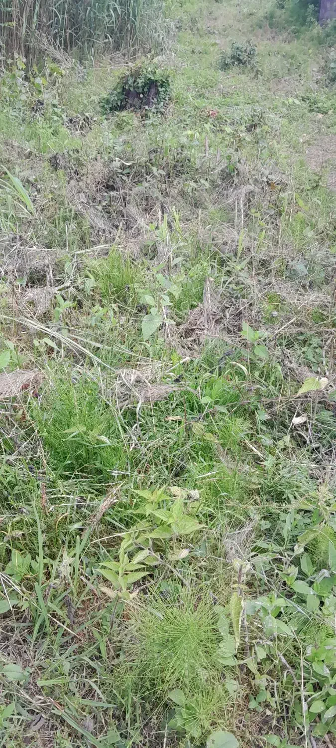 ۴۲۰مترمسکونی روستایی خشکبیجار