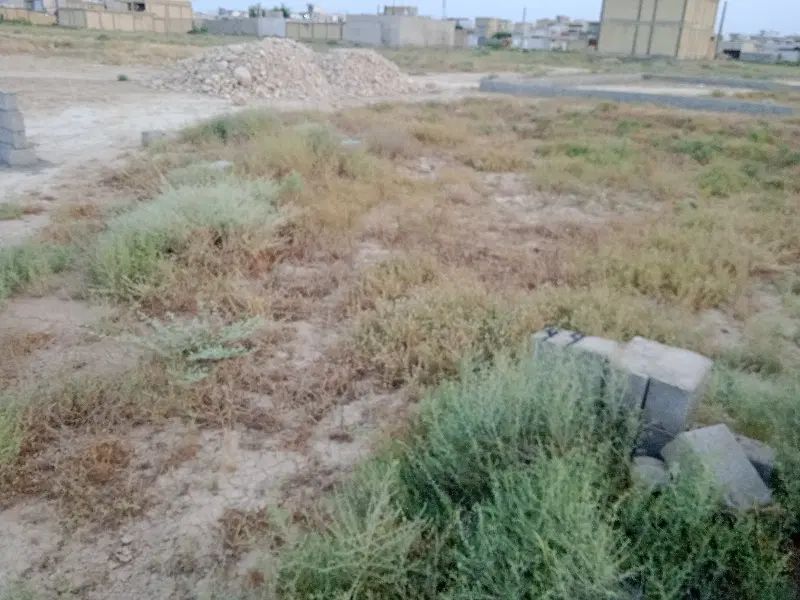زمین ۲۵۰ متری  حرم به حرم