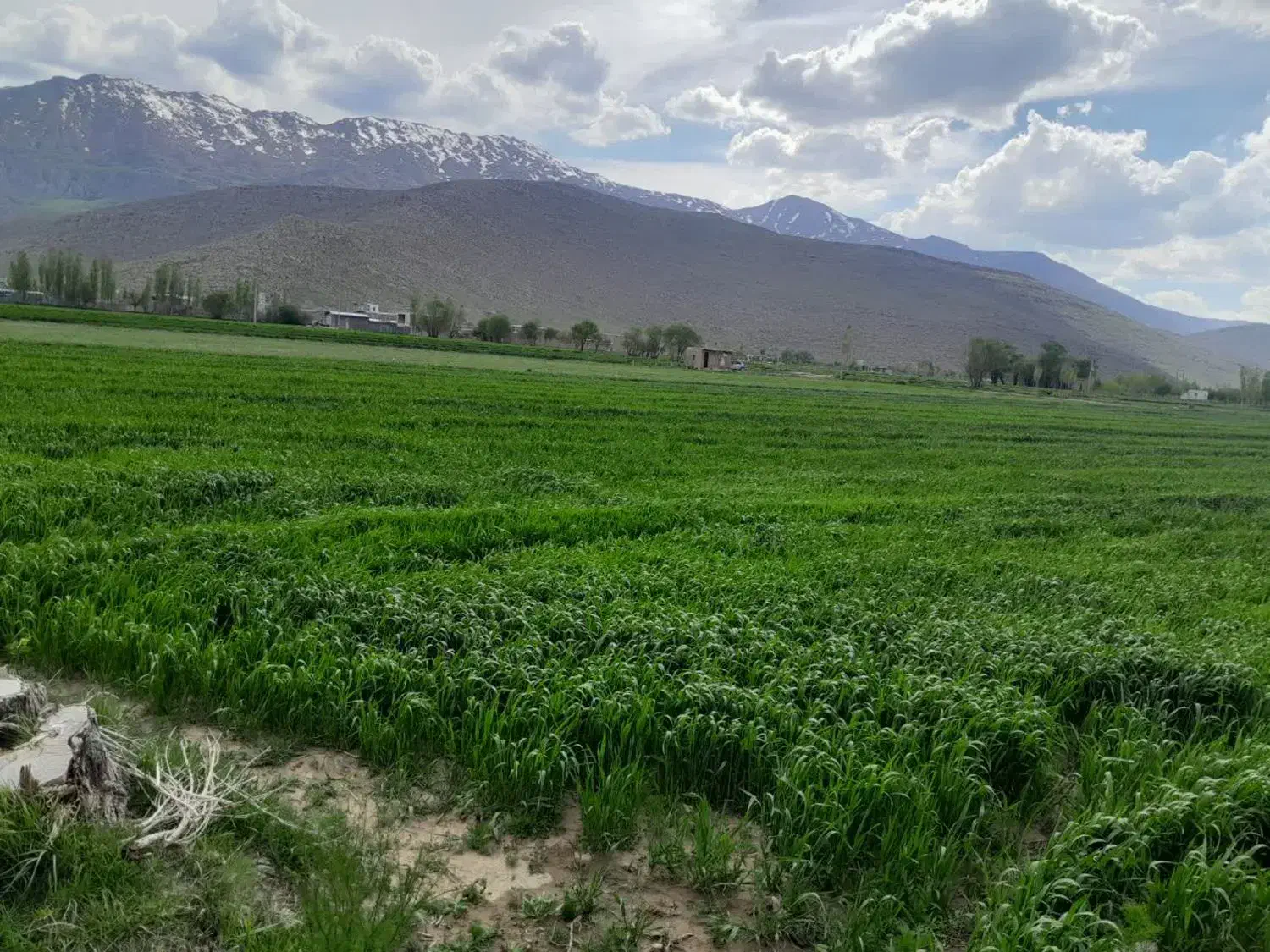 زمین مسکونی روستایی ریز(طرح هادی)